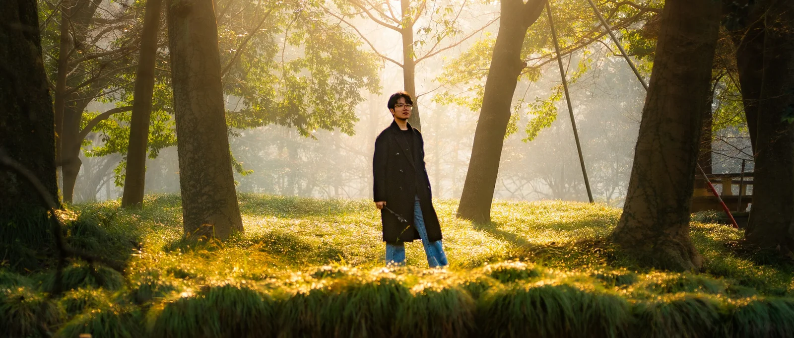 A person standing in a sunlit forest clearing