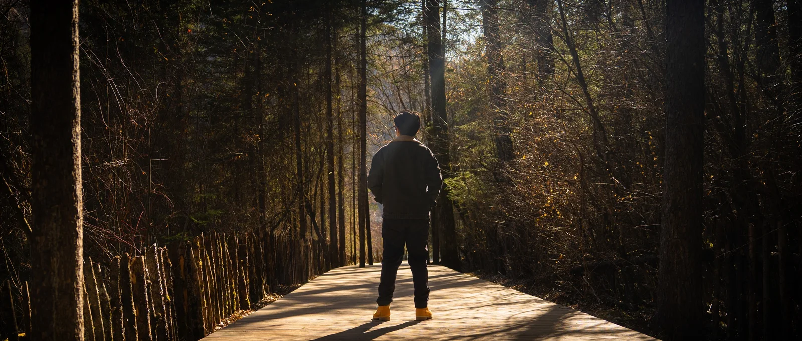 A person standing at the end of a warm, tree-lined path